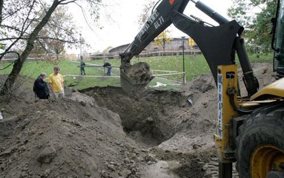 Gdy wykopiesz kość mamuta, zawiadom o tym wójta