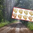 Najbliższe dni będą chłodne i deszczowe, ale w prognozach widać już ocieplenie