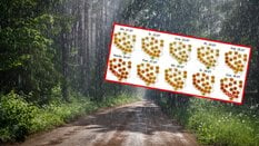 Najbliższe dni będą chłodne i deszczowe, ale w prognozach widać już ocieplenie