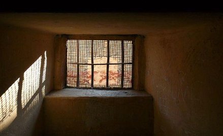 Raport Europejskiego Komitetu o przemocy funkcjonariuszy Policji i Służby Więziennej