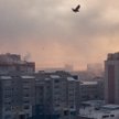 Nowy raport ujawnia skalę katastrofy ekologicznej na Syberii