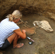 Archeolodzy zamierzają przebadać pas miasta Tyritake od zachodniej do wschodniej granicy