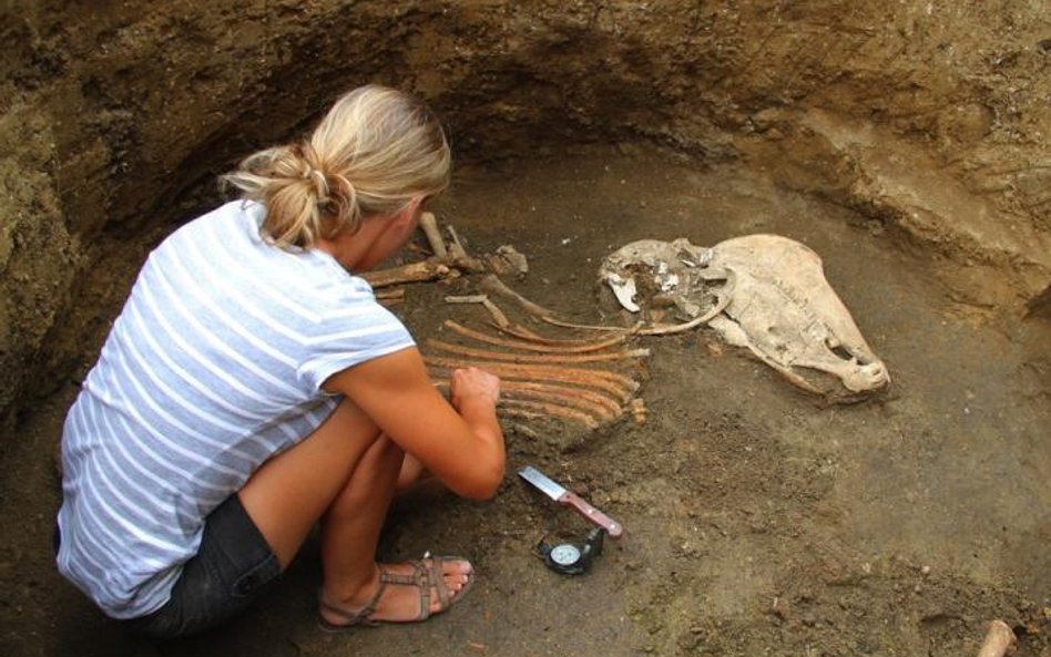 Archeolodzy zamierzają przebadać pas miasta Tyritake od zachodniej do wschodniej granicy