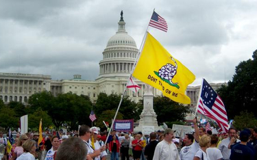 Demonstracja zwolenników FSP w Waszyngtonie 12 września 2009 r.