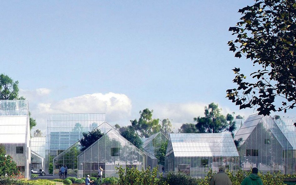 Samowystarczalna ekowioska w holenderskim Almere