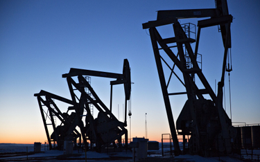 Łupki i OPEC stabilizują ropę