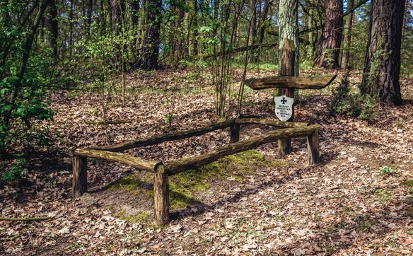 Grób nieznanego żołnierza w Puszczy Kampinoskiej