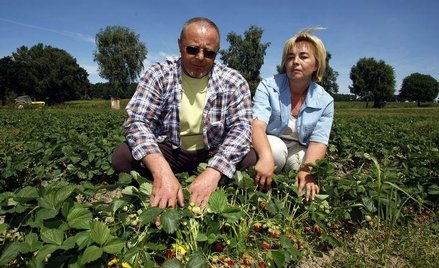 Agencje pracy tymczasowej uderzają do mniejszych pracodawców