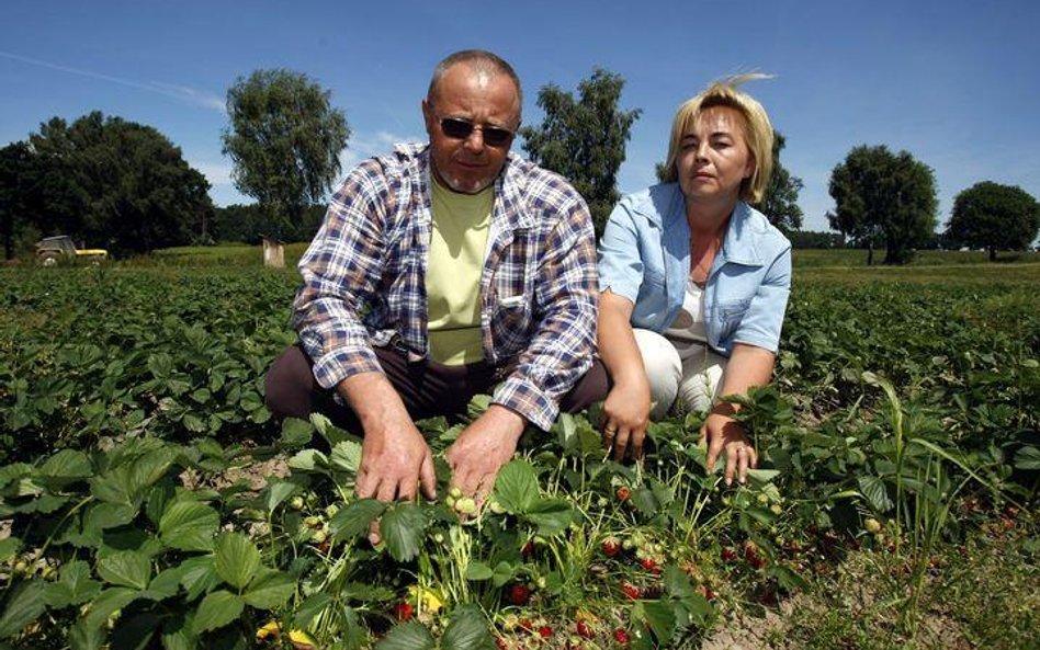 Agencje pracy tymczasowej uderzają do mniejszych pracodawców