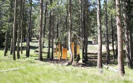 Niewidzialna stodoła w Kalifornii. Proj. STPMJ