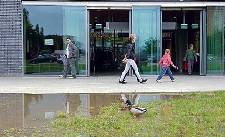 Stacja Wawrzyszew to dobre miejsce do zamieszkania. Tak przynajmniej uważają kaczki