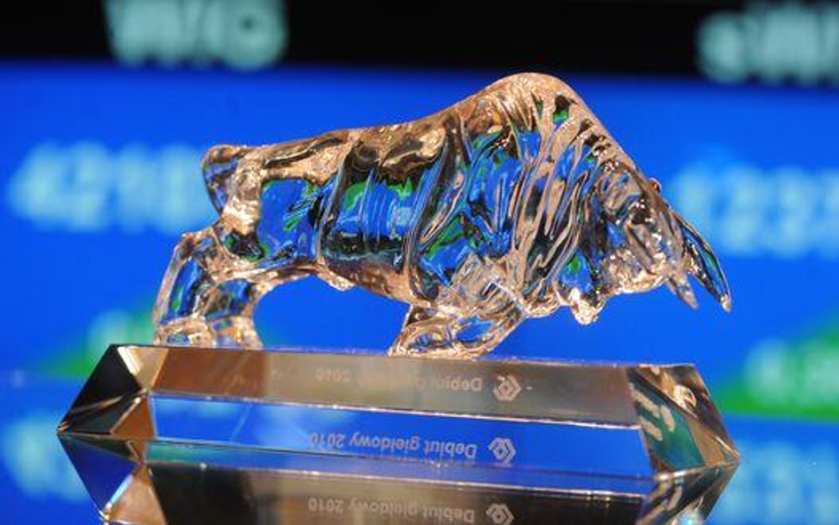 Byki się nie poddają