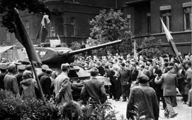 W pacyfikacji poznańskiej rewolty wzięło udział 9983 żołnierzy, 359 czołgów oraz 31 dział pancernych