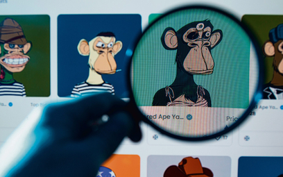 Za generowane komputerowo karykatury znudzonych małp z kolekcji Bored Ape Yacht Club zapłacono już w
