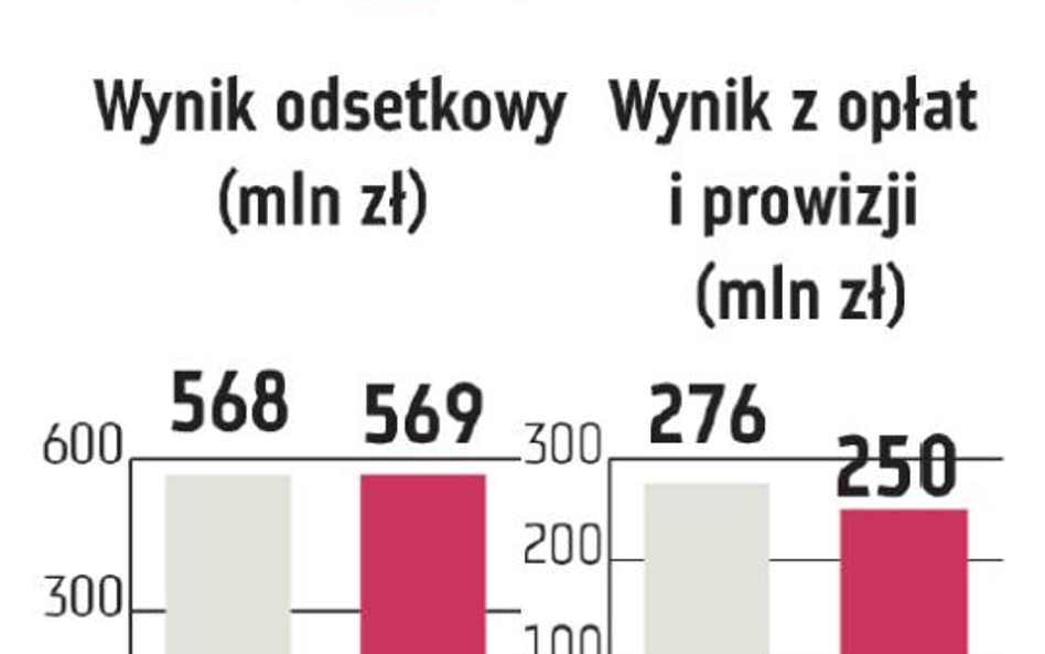 ING Bank Śląski: Wzrost szybszy niż rynek