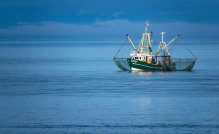Poszukiwana od dwóch lat kobieta znaleziona na oceanie