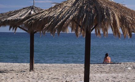 Betlej: Wyrównać szanse polskich biur podróży w konkurencji z TUI