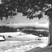 Bukowina, lata 30.