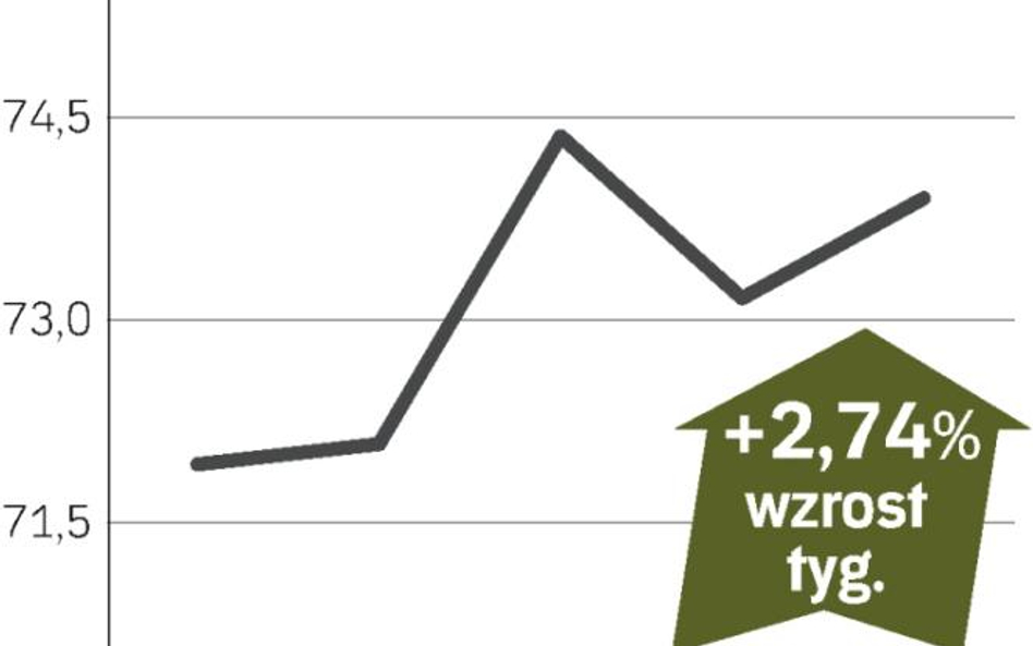 Znów powraca polityka