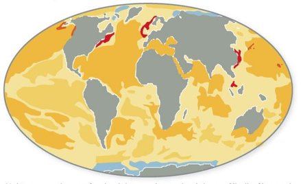 Człowiek wrogiem oceanów
