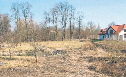 Według wiceministra Żuchowskiego system przygotowywania planów zagospodarowania przestrzennego nie s