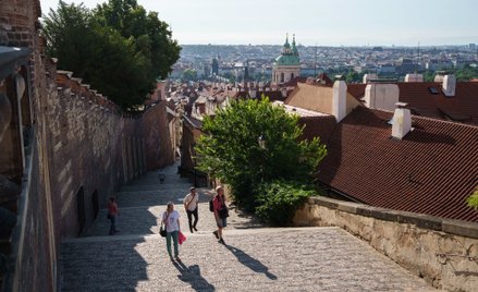 Wszystko, co chcesz wiedzieć o turystyce w Czechach, w jednym miejscu