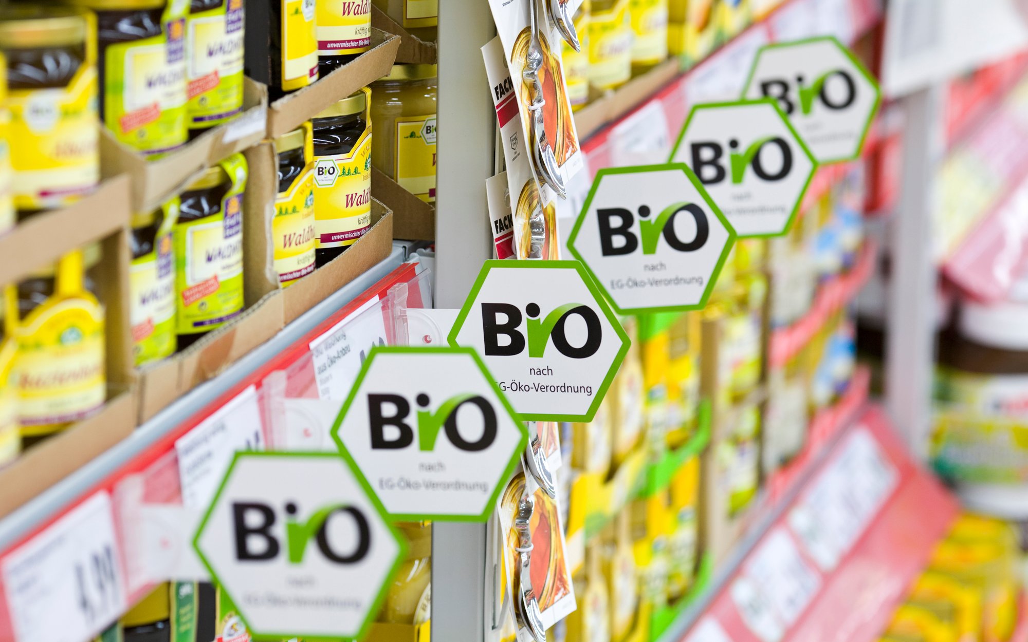 Teresa Siudem: Greenwashing – jak firmy oszukują klientów