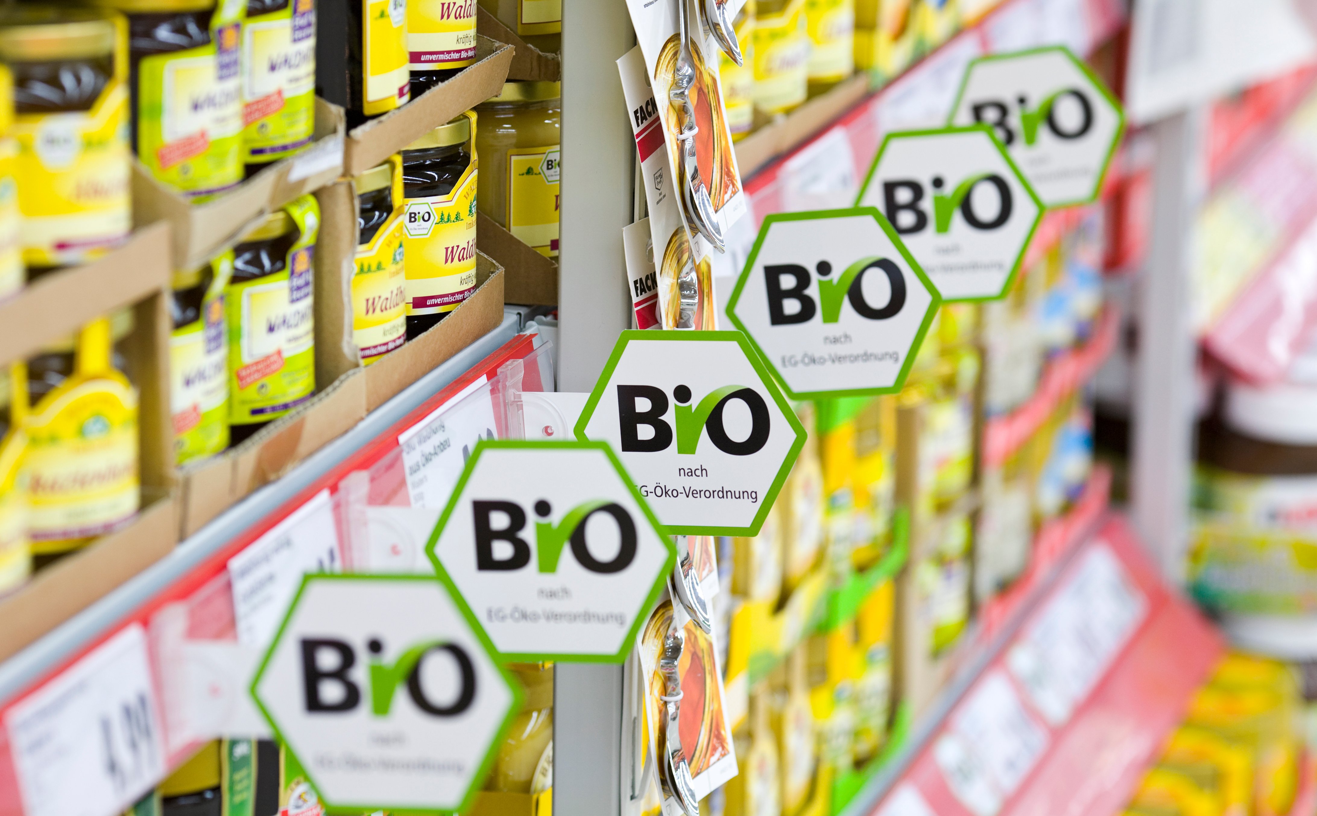 Między transparentnością a greenwashingiem