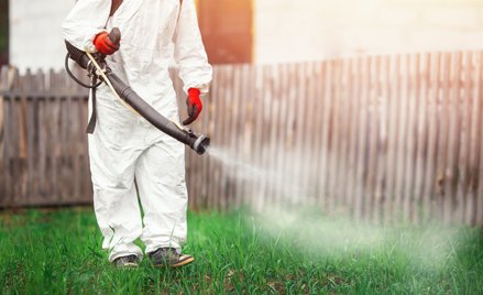 Odkomarzanie przeprowadza się zazwyczaj dwa razy w roku