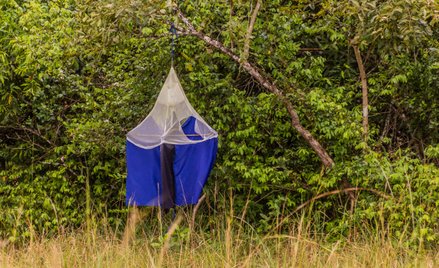 Pułapka na muchy tse-tse w Ziwa Rhino Sanctuary w Ugandzie