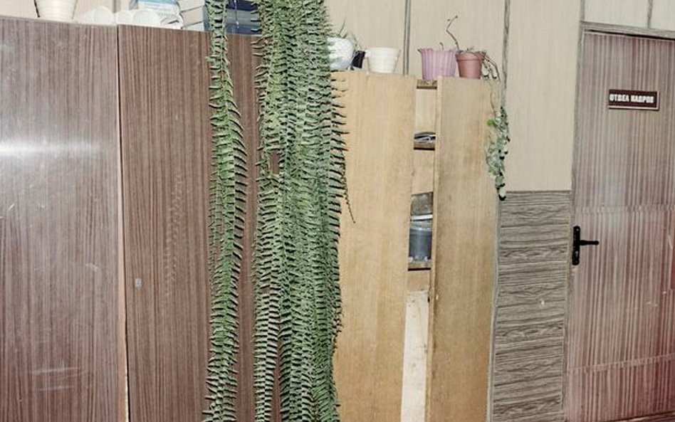 Krejwańcy, Białoruś. Administracja kołchozu, gdzie Walerij – najlepszy białoruski oracz – pomimo pol