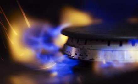 Wzrost gospodarczy, nowe elektrociepłownie, gazyfikacja i liberalizacja rynku powinny zwiększyć zuży