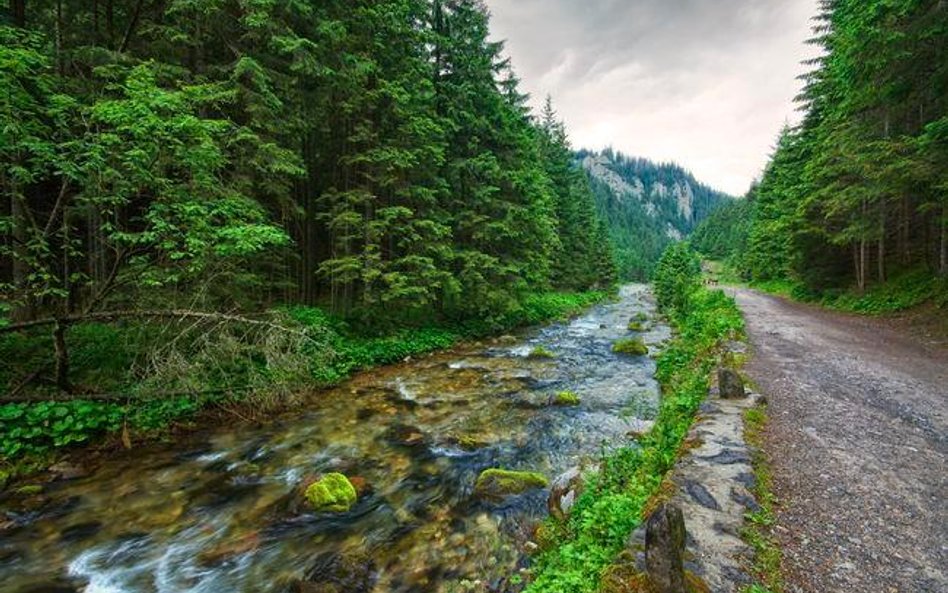25 mln dla parków narodowych