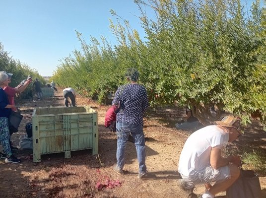 Zbiory wolontariuszy nie trafią na targ czy do sklepu.