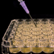 Bioton pozyskał 100 mln zł