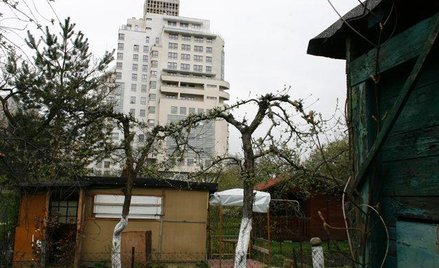 Radykalne propozycje Dekretowca