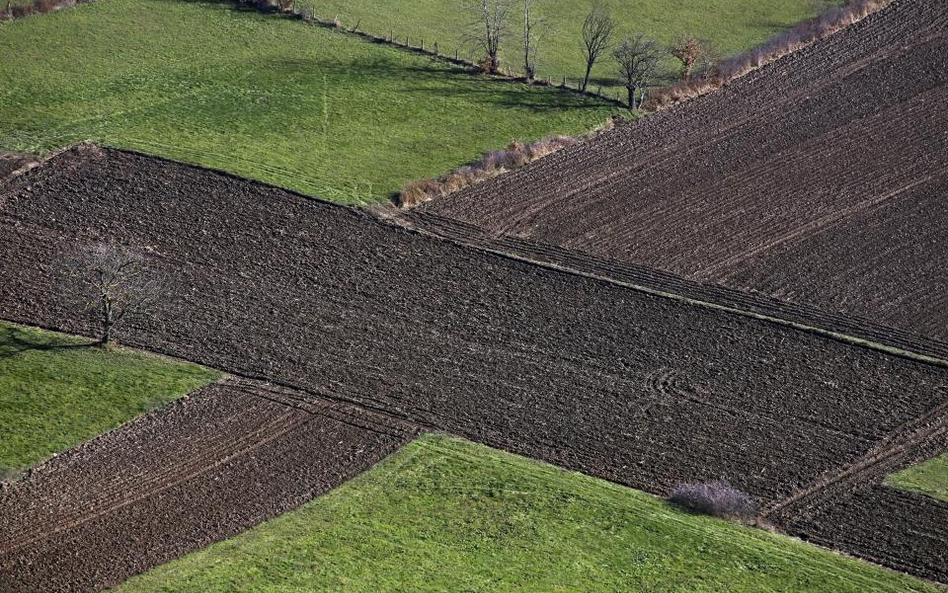 Łatwiej ze sprzedażą i kupnem ziemi - rządowy projekt nowelizacji ustawy o kształtowaniu ustroju rolnego