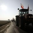 Spór o protesty i kiełbasę wyborczą