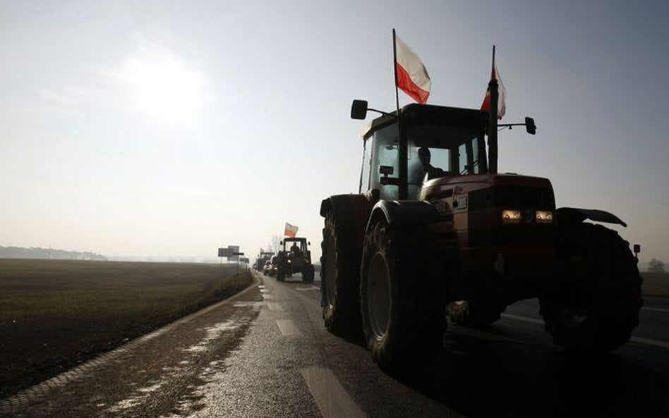 Rolnicy żadają rozmów z premier Kopacz