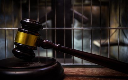 Pięć lat więzienia za pobicie dziecka oraz znieważenie funkcjonariuszy policji