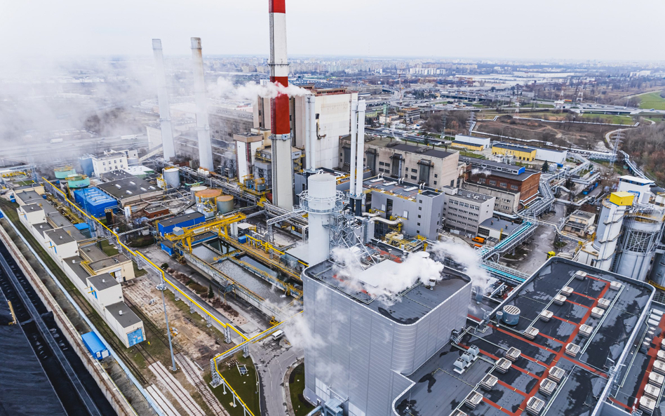 Dodatki osłonowe zastąpiły dodatki energetyczne shutterstock