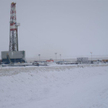 Petrolinvest: Uwagi audytora