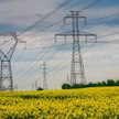 Dystrybucja energii przejęła dziś lwią część udziału w przychodach energetycznego sektora. Rosnące k