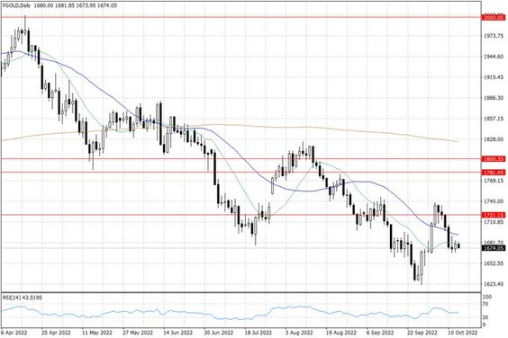 Notowania złota – dane dzienne
