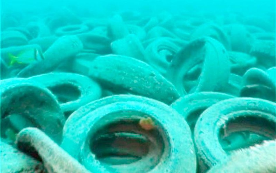 Osborne Reef niedaleko Fort Lauderdale - sztuczna „rafa” ze starych opon. Opony później wydobyli nur