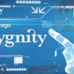 Sygnity: Rozmowy z wierzycielami trwają