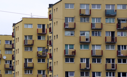 Samorządy, zwłaszcza te duże, mają olbrzymi zasób mieszkań komunalnych