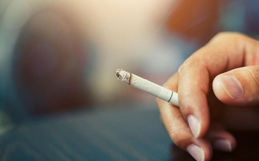 Polacy krytycznie oceniają zakaz papierosów mentolowych