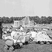 1955 r.