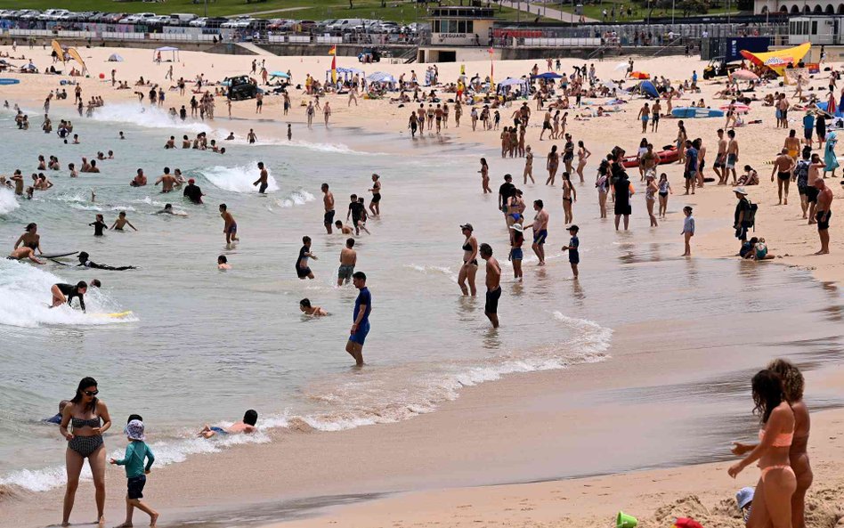 Plaża w Sydney